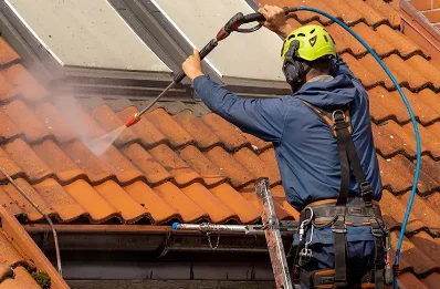 Démoussage et hydrofuge de toiture à Theizé